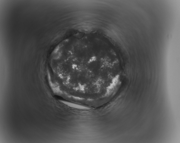 X0000088671297200706281913