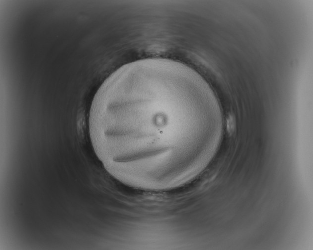 X0000088671299200706281913