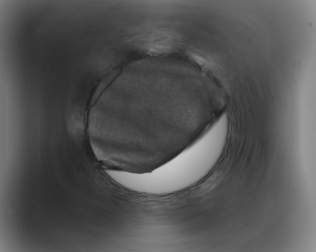X0000088671300200706281913