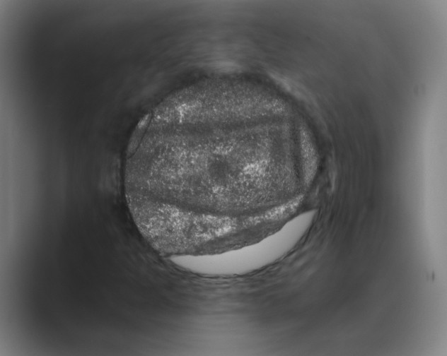 X0000088671301200706281913