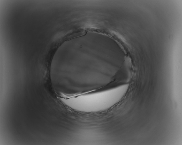 X0000088671303200706281913