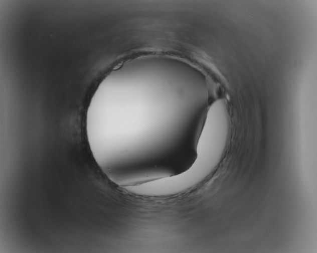 X0000088671304200706281913