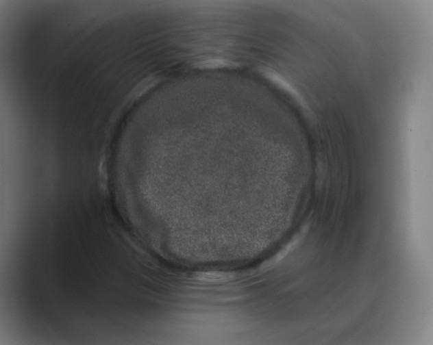 X0000088671305200706281913