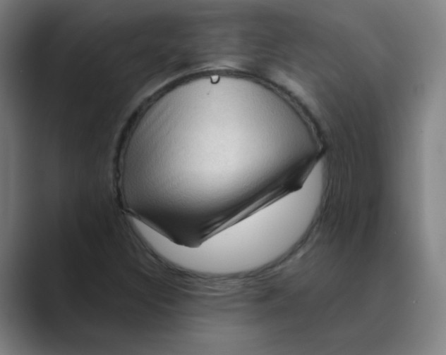 X0000088671308200706281913