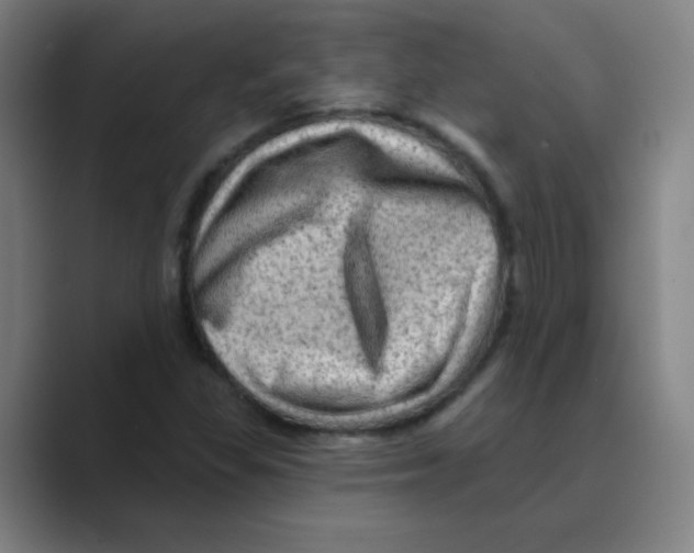 X0000088671309200706281913