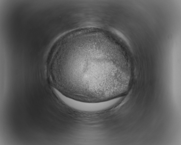 X0000088671310200706281913