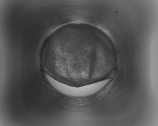 X0000088671311200706281913