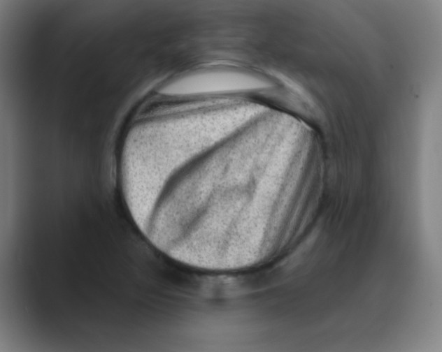 X0000088671317200706281914