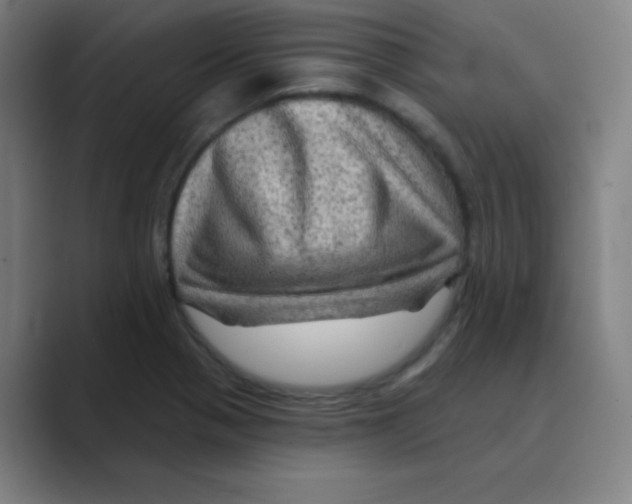 X0000088671321200706281914