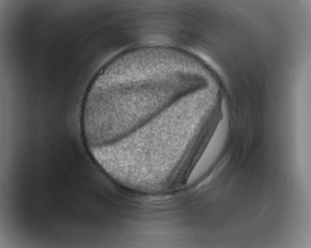 X0000088671325200706281914