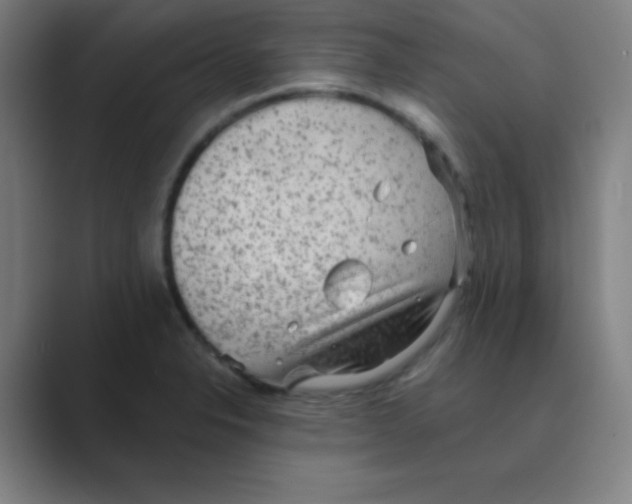 X0000088671326200706281914