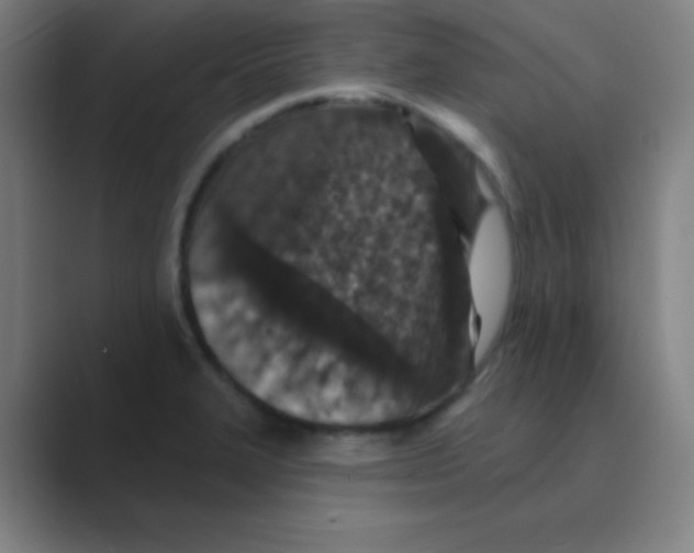 X0000088671327200706281914