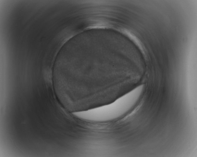 X0000088671329200706281914