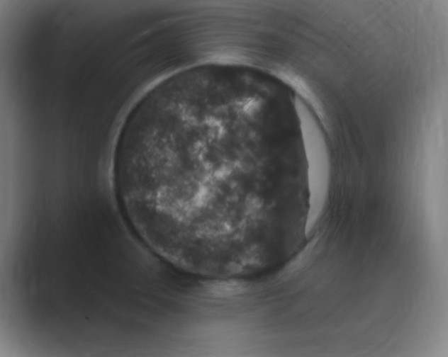 X0000088671331200706281914