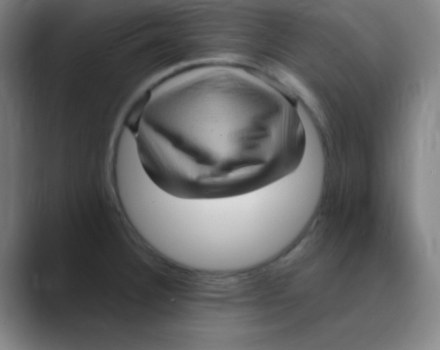 X0000088671332200706281914