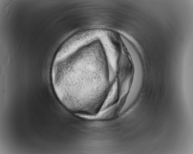X0000088671333200706281914