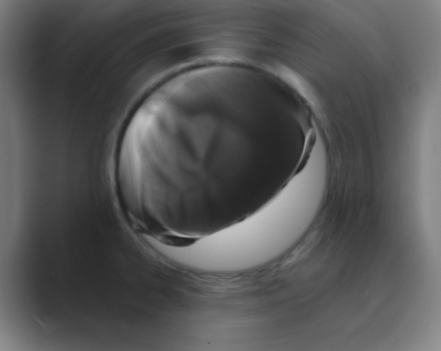 X0000088671334200706281914
