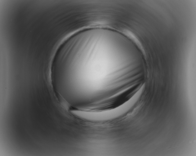 X0000088671336200706281914