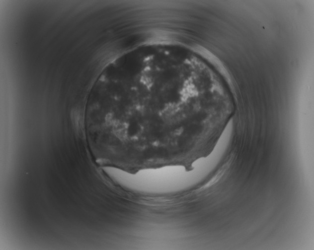 X0000088671337200706281914