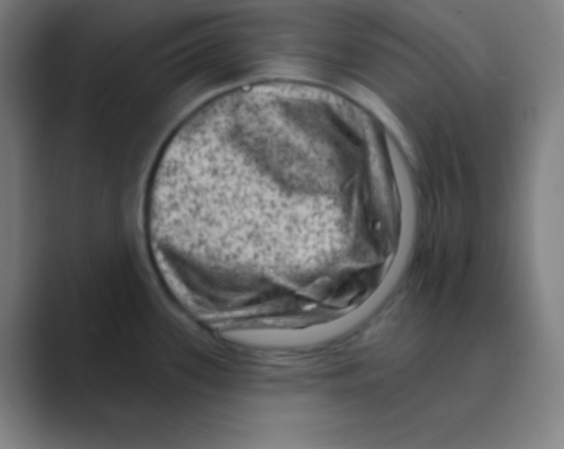 X0000088671339200706281914