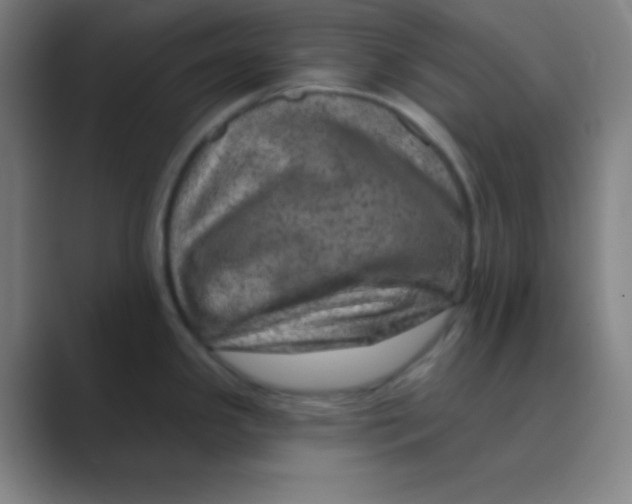 X0000088671341200706281914