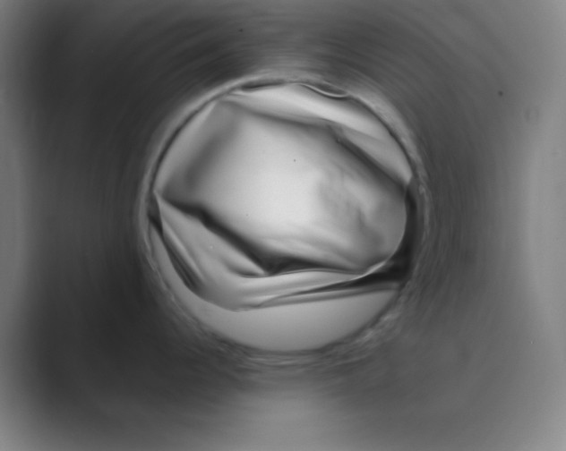 X0000088671344200706281914
