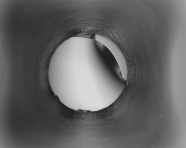 X0000088671345200706281913