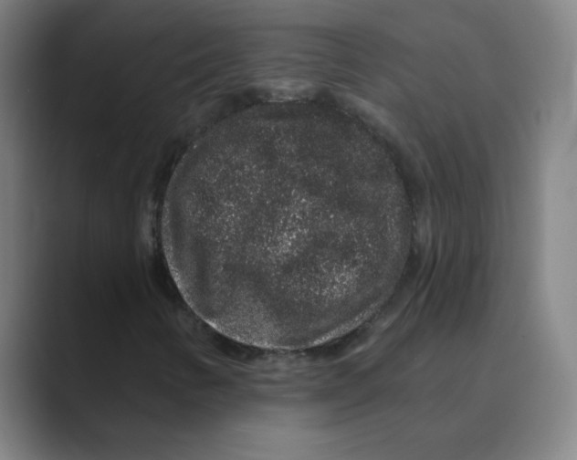 X0000088671346200706281913