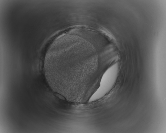X0000088671352200706281913