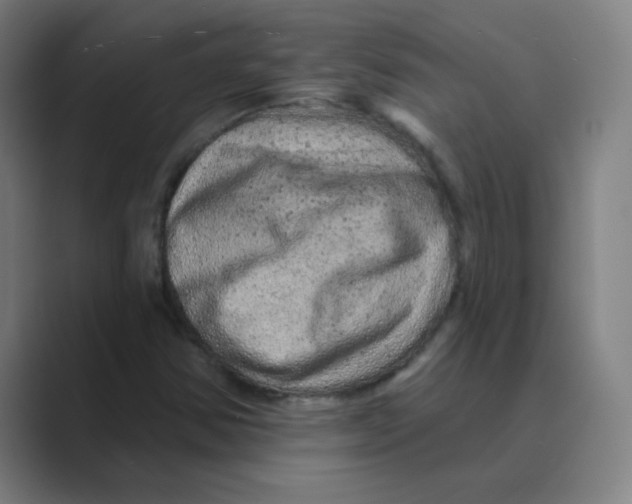 X0000088671354200706281913