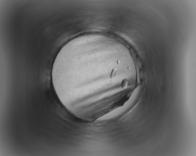 X0000088671355200706281913