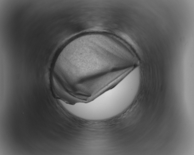 X0000088671356200706281913