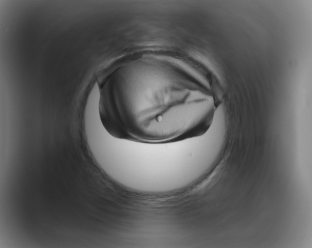 X0000088671357200706281913