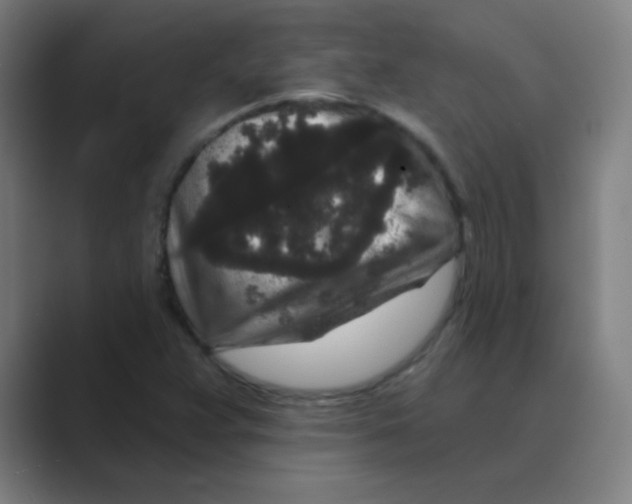 X0000088671359200706281913