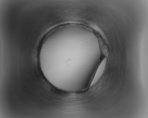 X0000088671360200706281913