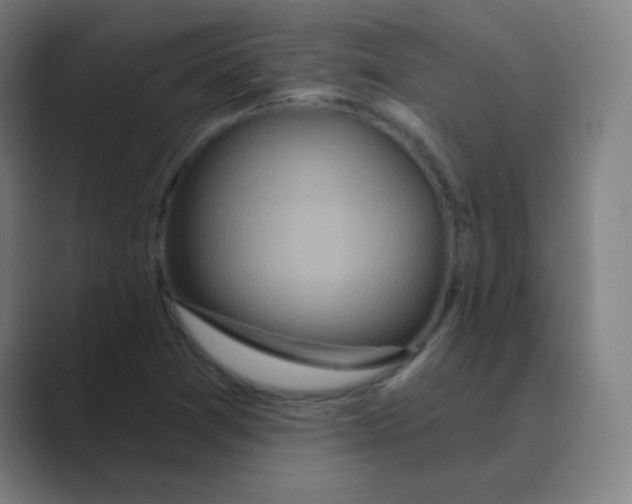 X0000088671361200706281913