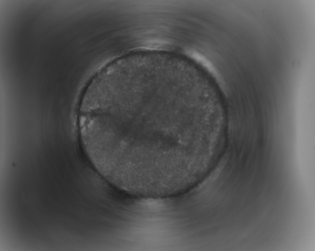 X0000088671362200706281913