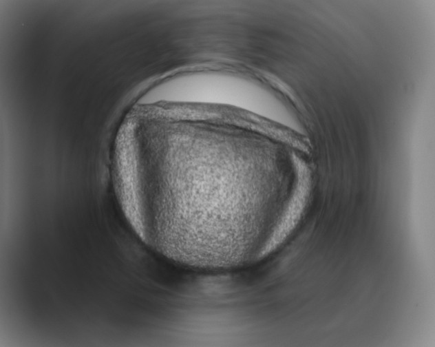 X0000088671363200706281913
