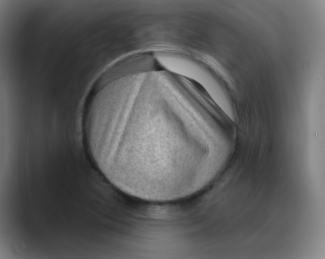 X0000088671364200706281913