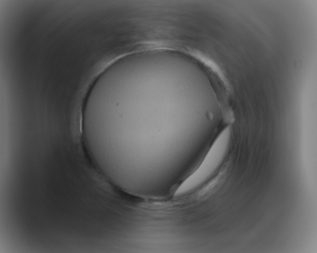 X0000088671365200706281913