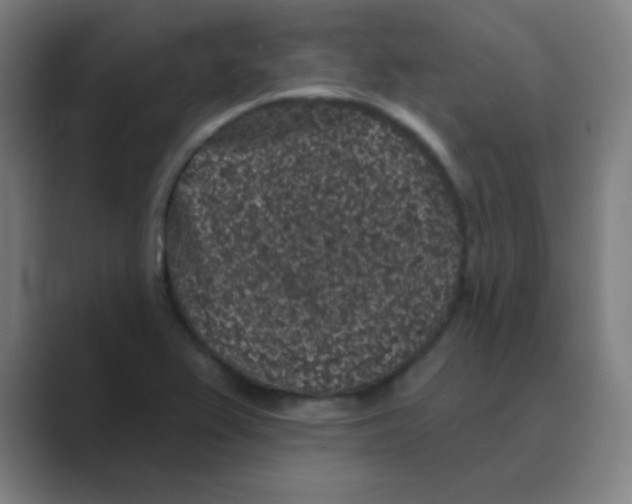X0000088671367200706281913