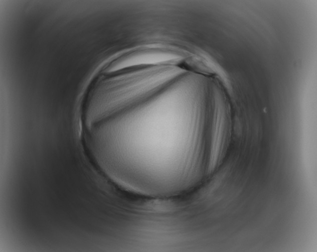 X0000088671368200706281913