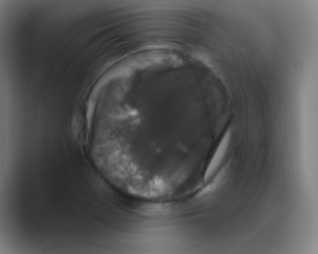 X0000088671369200706281913