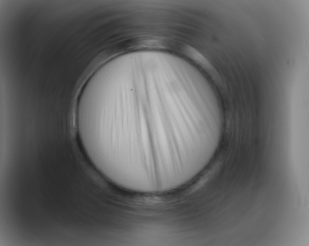 X0000088671370200706281913