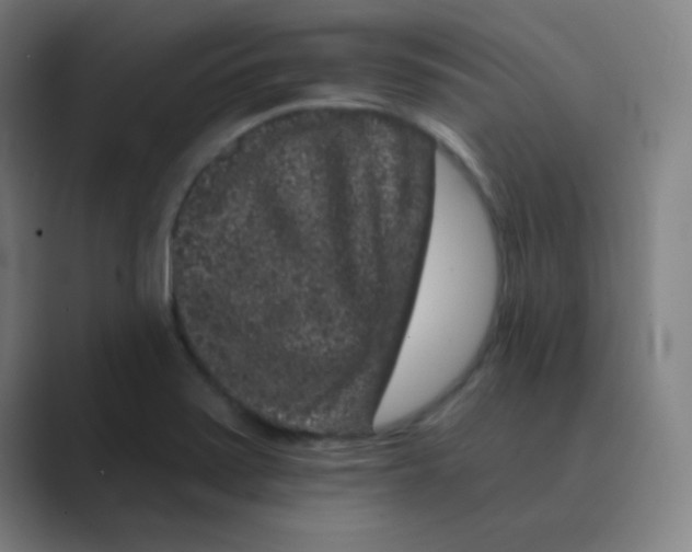 X0000088671371200706281913