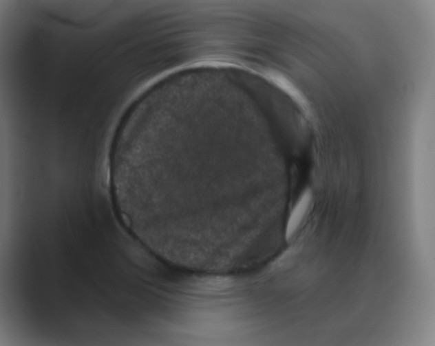 X0000088671372200706281913