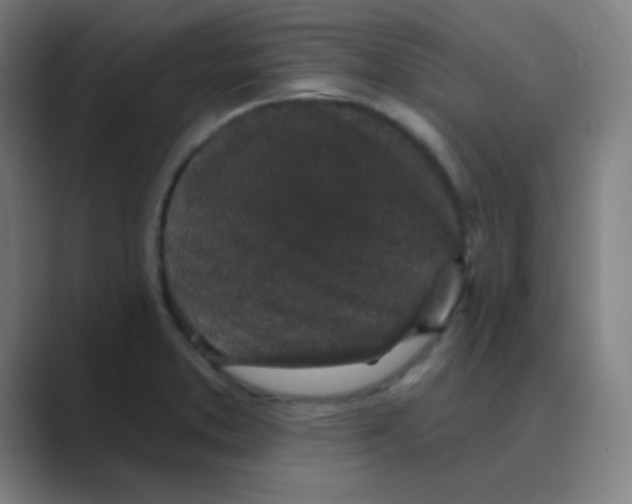 X0000088671373200706281913
