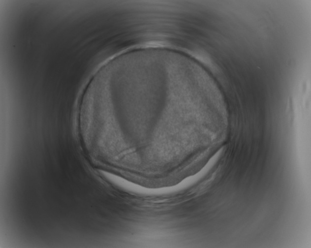 X0000088671374200706281913