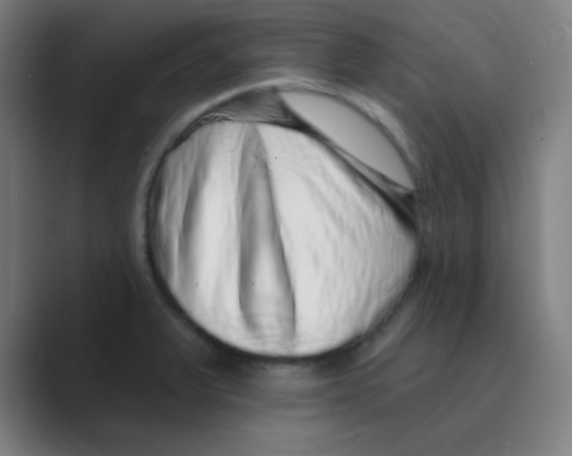 X0000088671375200706281913
