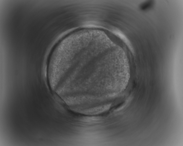 X0000088671376200706281913